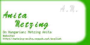 anita metzing business card